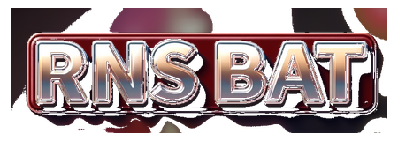 rns bat logo